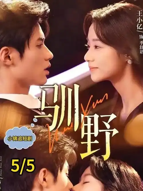 白塔迷雾 悬疑推理热播电视剧全集免费观看